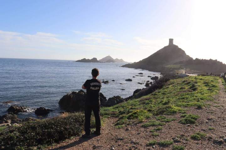 Pause déménageur Montpellier
