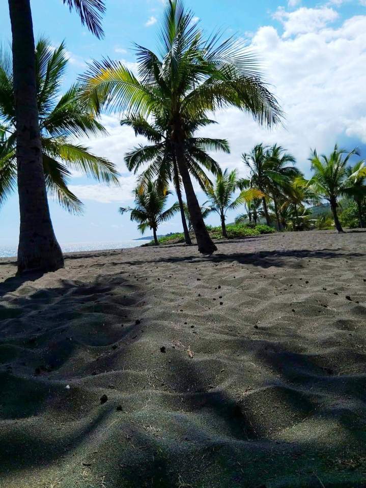 Camion déménageur Montpellier vers La Réunion